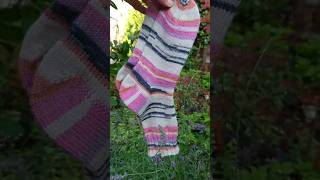 Socks in my garden [upl. by Nairdad]