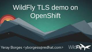 WildFly TLS demo [upl. by Brag27]