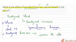 What is the effect of parathormone on calcium levels in the blood [upl. by Nonie]