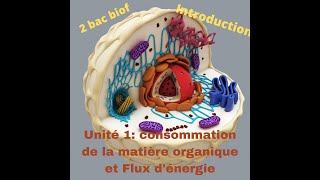 introduction unité 1  consommation de la matière organique et Flux dénergie [upl. by Stace337]