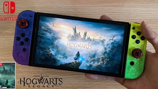 Hogwarts Legacy on Nintendo Switch Gameplay  Nintendo Switch Oled Gameplay [upl. by Hakceber]