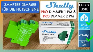 Shelly Pro Dimmer 1 PM amp 2 PM Review  Einbinden in die Shelly App amp Home Assistant  Anleitung [upl. by Neelhsa]