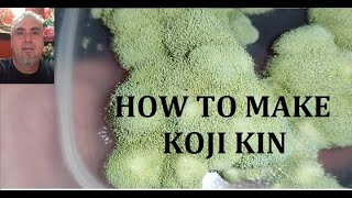 HOW TO MAKE KOJI KIN ASPERGUILLUS ORYZAE [upl. by Gnni]