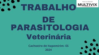 Trabalho de parasitologia veterinária Dirofilaria immitis 4º periódo 2024 [upl. by Peltz]