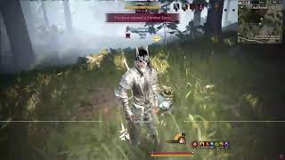 Bdo Ninja Ash Forest Dehkia Fun Grind [upl. by Moira]