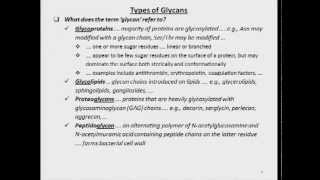 Role of Glycans in Physiology and Disease [upl. by Ahc827]