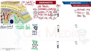 Neurología  Meningitis [upl. by Atteyek]