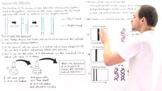 Meselson and Stahl Experiment [upl. by Eladnor]