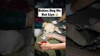 Rabies Dog Ne Kat Liya 😱  minivlog [upl. by Ecirtap672]