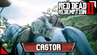 RED DEAD REDEMPTION 2  Castor legendario  ANIMALES LEGENDARIOS ⭐ PS4 Español [upl. by Arebma]