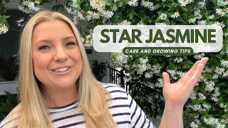 Star Jasmine Care amp Growing Tips [upl. by Hudgens]