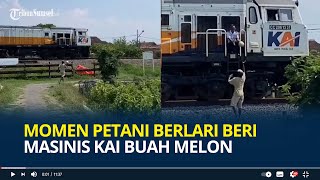 Momen Petani Berlari Beri Masinis KAI Buah Melon Semangat Antarkan sampai ke Depan Kereta Api [upl. by Akcirred]