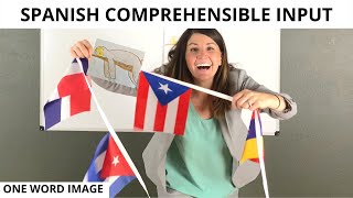 Spanish Comprehensible Input  Online Learning [upl. by Arly]