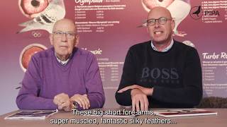 Hans and Evert Jan Eijerkamp tell about their success with Leideman pigeons [upl. by Neom]