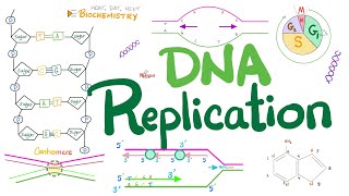 DNA replication in Prokaryotes amp Eukaryotes DETAILED  Molecular Biology 🧬 amp Biochemistry 🧪 [upl. by Harle]