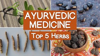 Ayurvedic Medicine and the Top 5 Herbs of Ayurveda [upl. by Toback256]