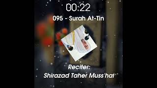 095  Surah AlTin Quran Surah TheQuran Islamic Muslim Faith Allah Arabic recite trends [upl. by Aisanat]