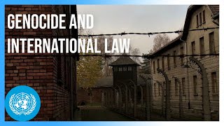 How Genocide Became Part of International Law  United Nations [upl. by Jacqueline813]