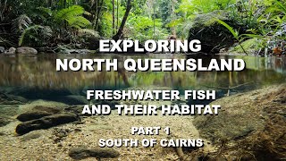 Exploring Cairns North Queensland Freshwater Fish and Their Habitat Part One South of Cairns [upl. by Reneta]