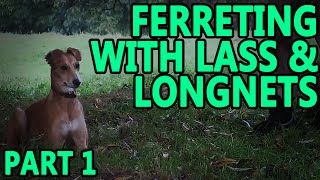 Ferreting Rabbits With Lass amp Longets part 1  Working Lurcher [upl. by Rahel]