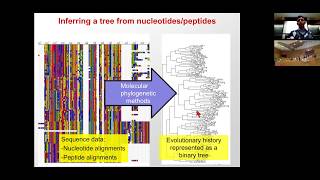 MIT CompBio Lecture 19  Phylogenetics [upl. by Bette-Ann]