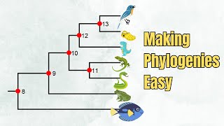 How To Read A Phylogenetic Tree  Introduction  5 Exercises [upl. by Sanderson]