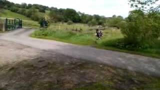 Peter Mogfords Bike Fall [upl. by Wilcox]