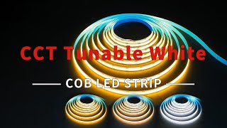 Tunable white LED stripsCCT White Color Temperature Change COB LED Strips [upl. by Os]