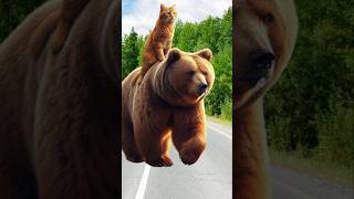 Beast Bear attack cute kittens cutecat catlover catvideos trendingshorts [upl. by Airdnekal295]