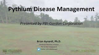 Pythium Disease Management [upl. by Nodearb]