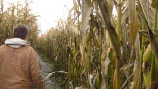 Carleton Farm Corn Maze and Pumpkin Patch 2009 [upl. by Aryl]