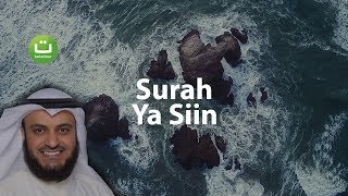 Surah YASIN Merdu dan Menyejukkan  Mishari Rasyid AlAfasy  Tadabbur Daily [upl. by Fernande]