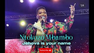 Ntokozo Mbambo  Jehovah is your name instrumental backing track beat [upl. by Wootten]