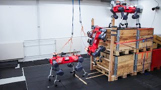 Robust Ladder Climbing with a Quadrupedal Robot [upl. by Kammerer]