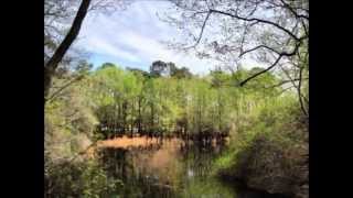 Rourk Woods Community in Shallotte North Carolina [upl. by Aninad]