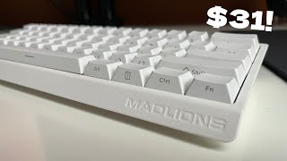 Can this 31 gaming keyboard dethrone the Wooting 60 HE MadLions Mad6068 HE [upl. by Hareenum708]