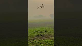 Smog in Punjab  Last December De Din Punjabi Song nosmog smogtower smogcheck smogtowers breath [upl. by Eno338]