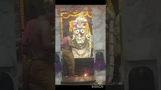 Jagganath sandhya aarti  joy Jagganath  live  rayagada trendshorts saisasmita [upl. by Jesse]