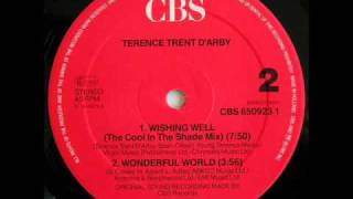 Wishing well 12  TERENCE TRENT DARBY  DJ OUIPET  1987 [upl. by Novaelc]