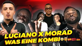 LUCIANO MORAD  Familia German Reaction 🇩🇪 🔥 [upl. by Veedis435]