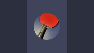 Table tennis 202411161 [upl. by Ahtekal648]