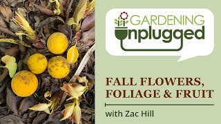 Gardening Unplugged  Attractive Flowers Foliage and Fruit in the Fall Garden with Zac Hill [upl. by Lil290]