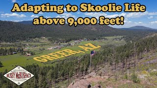 Keeping Cool in Our Skoolie at 9200ft Near Greer Arizona [upl. by Moskow993]