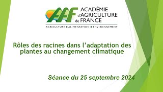 25092024  Rôles des racines dans l’adaptation des plantes au changement climatique [upl. by Alleira367]