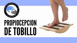 Los mejores ejercicios de propiocepcion o propioceptivos de tobillo [upl. by Kristof]