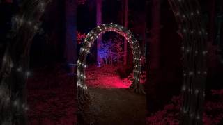 Wooden archway to the magical fairy forest fairycore diy [upl. by Saphra905]