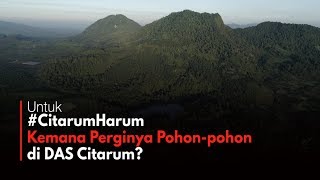 Kemana Perginya PohonPohon di DAS Sungai Citarum [upl. by Tsan]