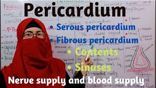 Pericardium  layers sinuses of pericardium  contents nerve supply blood supply thorax anatomy [upl. by Krall]