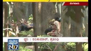 College chacker park nali haajar  04 June 12  Suvarnanews [upl. by Aihcela]