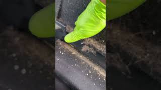 How to cleaning a car interior dog fur removal before and after Mobile Car Valeting Kinsale [upl. by Ecirtram]